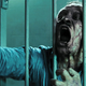 Illustration for article titled Low Budget Movie Trends That Need a Nice Long Rest
